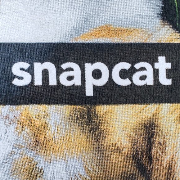 new Cat tee Selfie SNAPCAT Orange Tabby XXL 2X gift plus UNISEX - Picture 7 of 12